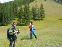 Полевой сезон 2012 года в Алтайском заповеднике