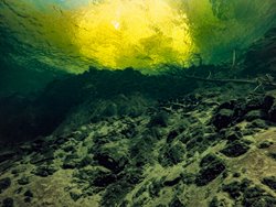 Что можно увидеть под водой в разных местах на Золотом озере. Мыс Айран