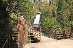 Информация о размере оплаты разрешённых к посещению мест в Алтайском заповеднике