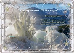 Поздравляем с наступающим Новым 2024-м годом!