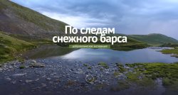 "По следам снежного барса": готовится третья добровольческая экспедиция.