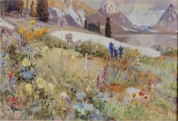 Традиции заповедного Алтая. Месяцеслов. Июль