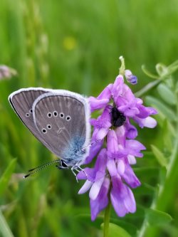 «Солнце – на зиму, лето – на жару»