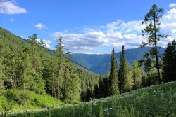 11 декабря - Международный день гор