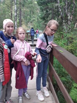 «Северные колибри»