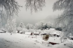 О сельских инициативах, реализованных на Алтае рассказали на Международном французском радио RFI