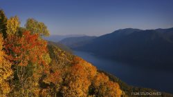 Белорусская киностудия создала цикл передач об Алтайском заповеднике