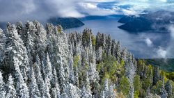 Первый снег выпал в прителецкой тайге Алтайского заповедника