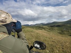 Ложь не спасла нарушителя