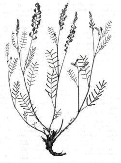 Новые материалы на сайте