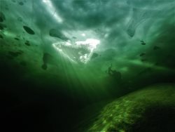 Подводный мир заповедного озера. Портал в параллельный мир Золотого озера снова открыт..