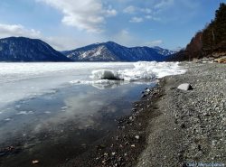 ОРНИТОЛОГИЧЕСКИЕ НОВОСТИ С УЧЕТНОГО МАРШРУТА НА ЯЙЛИНСКОЙ ТЕРРАСЕ И НЕ ТОЛЬКО. Март 2019