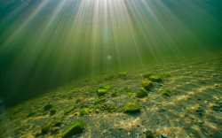 Холодное безмолвие Золотого озера