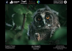 Кто ты, «Летний фаворит»?