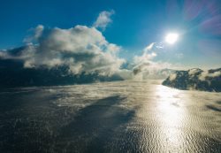 Итоги фенологических наблюдений. Каким был 2020 год?