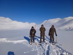 В Алтайском заповеднике прошёл зимний учёт животных в местах зимовок копытных