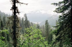 Подготовка к пожароопасному периоду в Алтайском заповеднике в 2012 году