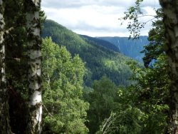 21 марта - Международный день леса