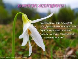 Поздравляем с 8 марта!