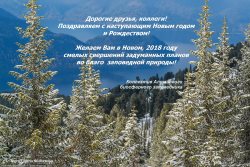 Поздравляем с наступающим Новым годом и Рождеством!