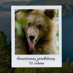 Алтайскому заповеднику – 92!