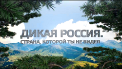 На телеканале «Живая планета» стартовал цикл документальных фильмов Минприроды России о заповедниках