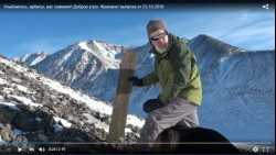 Улыбнитесь, ирбисы, вас снимают!