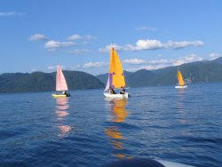 25 лет с момента создания Отряда юных друзей Алтайского заповедника "Хранители Озера"