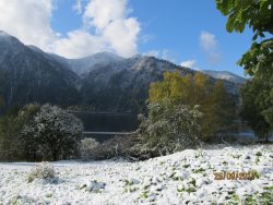 Жизнь заповедного кордона. Первый снег.
