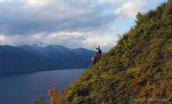 Всемирный день защиты животных