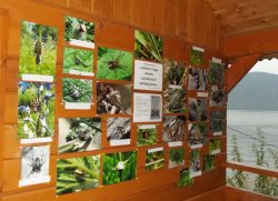 Открылась новая фото-выставка