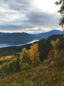  Золотая осень наступила в Алтайском заповеднике