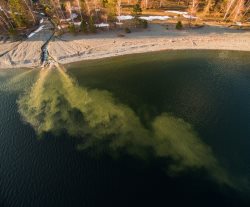 Подводный мир заповедного озера. Пробуждение реки