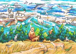 АЛТАЙСКИЙ ЗАПОВЕДНИК: ПОЛНОЕ ОТСУТСТВИЕ ДОРОГ, ГОРЫ И ТАЙГА