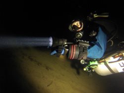 Дайверы-волонтеры из Барнаула продолжают очищать Телецкое озеро