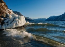 О зиме в Алтайском заповеднике.Фото летопись Сергея Усика