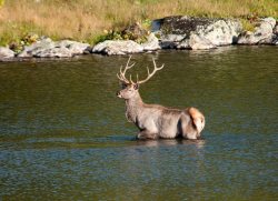 22 апреля отмечается Международный день Матери-Земли