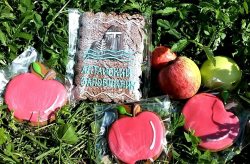 Совсем скоро праздник Яблочного Спаса в Алтайском биосферном заповеднике!