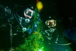 Встретили Новый год в глубине Телецкого озера!