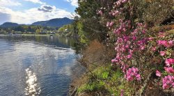В Яйлю пройдёт традиционный праздник коренных народов  Республики Алтай -  Jылгаяк