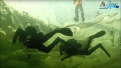 Дайвинг в Алтайском заповеднике