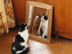 C праздником Весны, дорогие женщины!