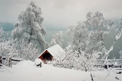 Заключительный в этом году научно-технический совет прошел Алтайском заповеднике