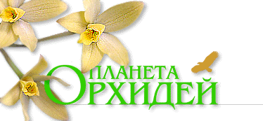 О Коста-Рике, Мексике и Алтайском заповеднике