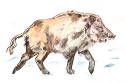 9 февраля в Республике Алтай встречают "Чага Байрам" - Новый год по лунному календарю