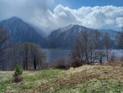  Фенологические заметки. Оживление весны