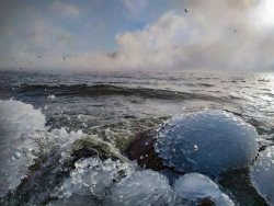 Фенологические заметки. Зима на Телецком озере вступила в свои права