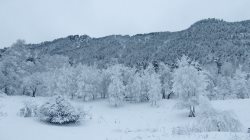 Жизнь заповедного кордона Байгазан. Декабрьские причуды