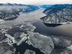 Фенологические заметки.Первые звоночки весны