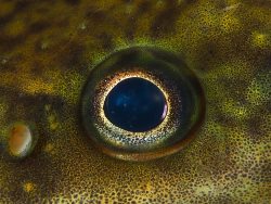 Ночная жизнь Телецкого